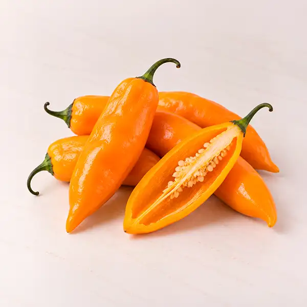 Yellow Chili Pepper