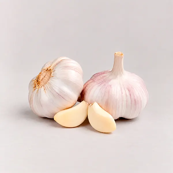 Garlic