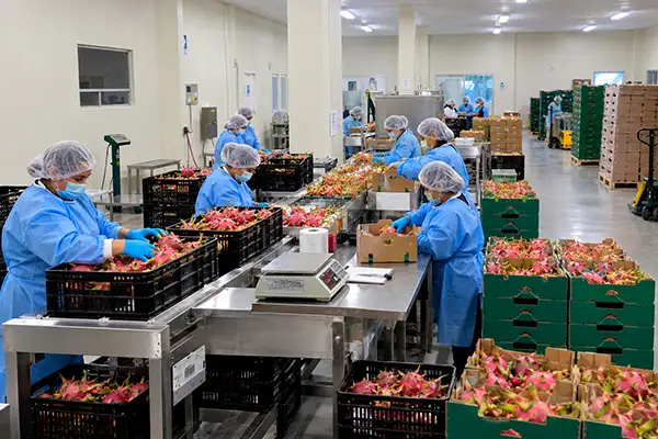 Agro-export entrepreneurs