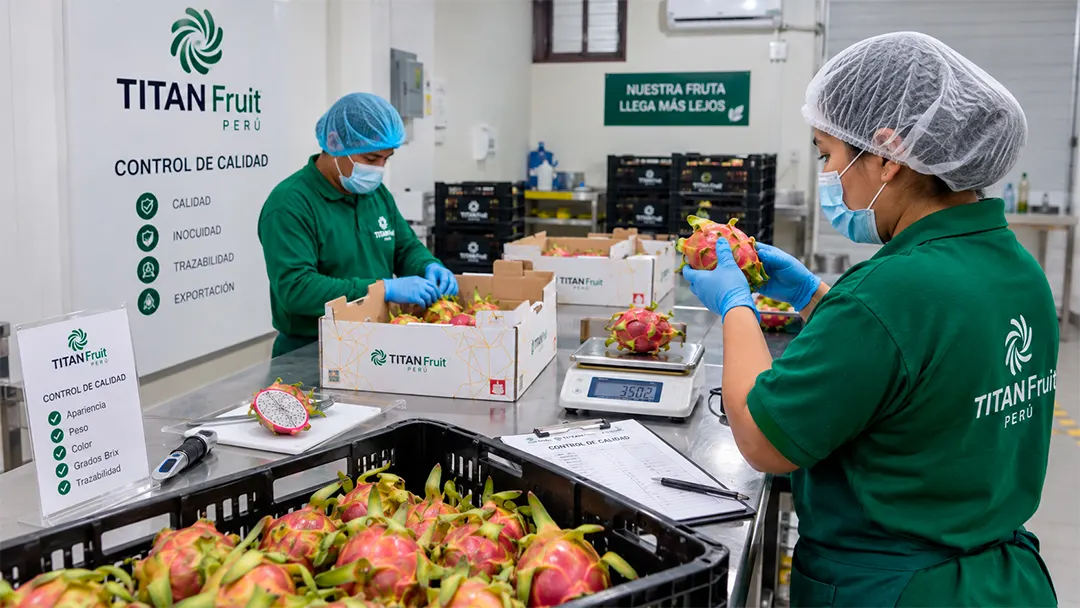 Temporary Titan Fruit facility photography